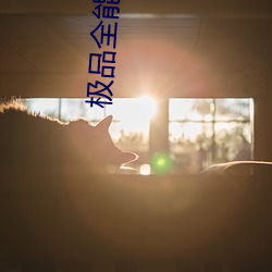 极(jí)品全能学生