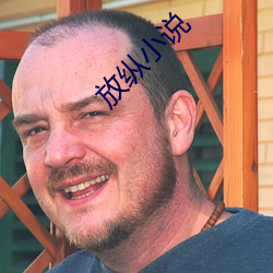 放纵小说