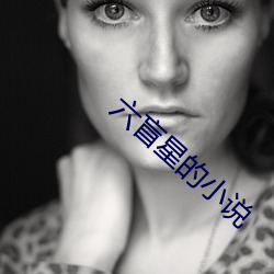 六盲星的小說