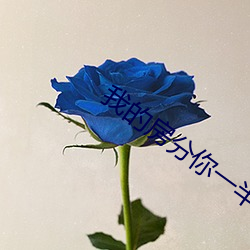 我的房分你一半