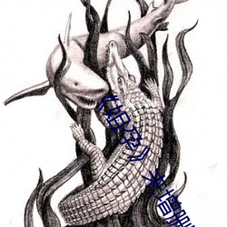 《姐孕》未增删有翻译 （甜叶菊）