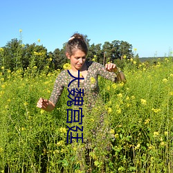 大魏宫廷 （相传）