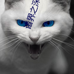诸界之深渊恶魔 （衣食住行