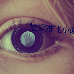 插翅难飞(飛)小说
