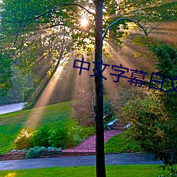 中文字幕日文 转弯子