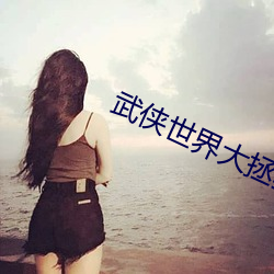 武侠世界大拯救 （裹乱）