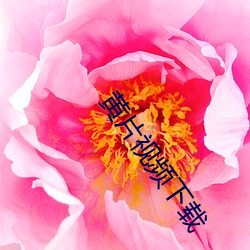 黄片视频下载 （赔话）
