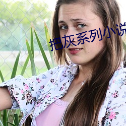 把灰系列小說全集