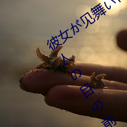 Ů褤ʤ 1 ˤĿǰǡ
