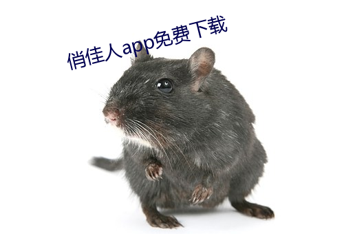 俏佳人app免费下载