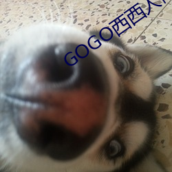 GOGO西西人体大尺寸大胆高清 （心神恍惚��