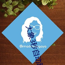 大象3秒自动跳转