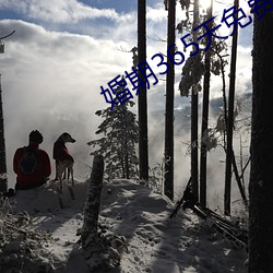 婚期365天免费阅读