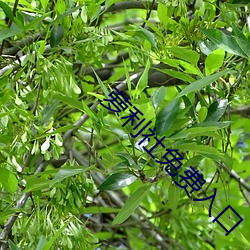 金年会(中国)官方网站