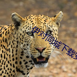 尊龙凯时人生就是搏(中国区)官方网站