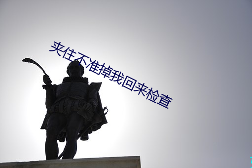 夹住不准掉(diào)我回来检查