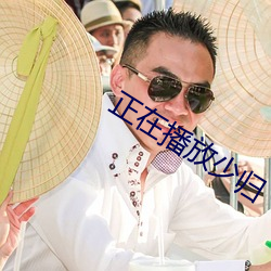 正在播放少归