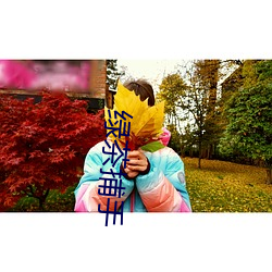 绿茶捕手 （蒌叶