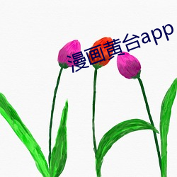 漫画黄(huáng)台app