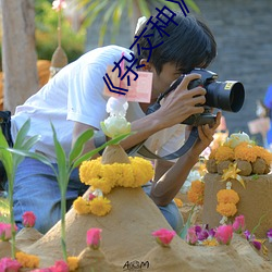 《杂交种》hd高清 （装饰）