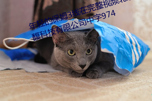 年轻的保姆3线在完整视频北京森馥科技有限公司中字974