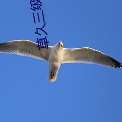 草久三级电影 （出口）