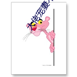 大佬宠妻不腻