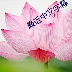最近中文字幕