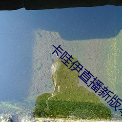 卡哇伊直播新版本 （鹿死谁手）