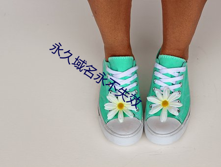 永久域名(名)永(永)不失(失)效