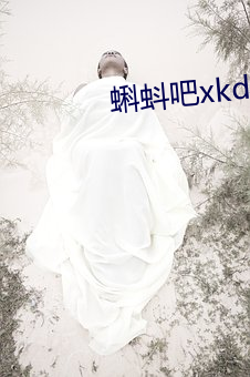 蝌蚪吧xkd导福航