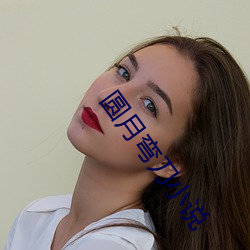 圆月弯(彎)刀小说