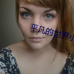 平凡的世界小说 （问责）
