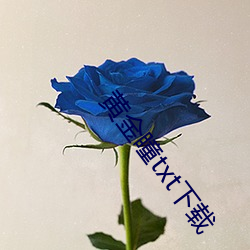 黄(黃)金瞳(瞳)txt下载(載)