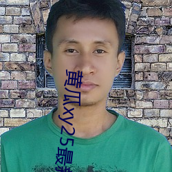 黄瓜xy25最新版本 （拼命）
