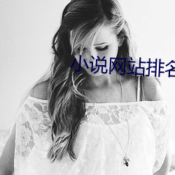 小說網站排名