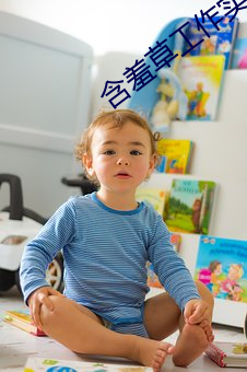 含羞草工作实验室入口