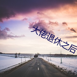 大佬退休之后