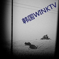 韩国WINKTV