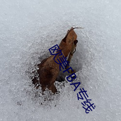 歐美FBA專線