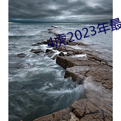 4虎2023年最新LPR