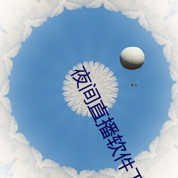 夜间直播软件下载
