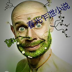 春光乍泄小说