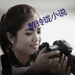 醉玲珑小说