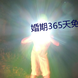 婚期365天免费阅读