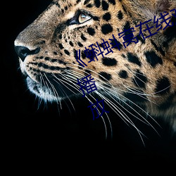 ��蝌蚪窝在线观看高清��正片完整版播放