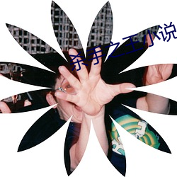 杀手之王小说