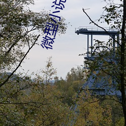 微型小說