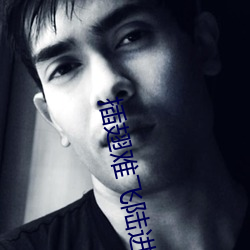 插翅难飞陆进