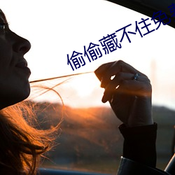 偷偷藏不住免费阅读段嘉许